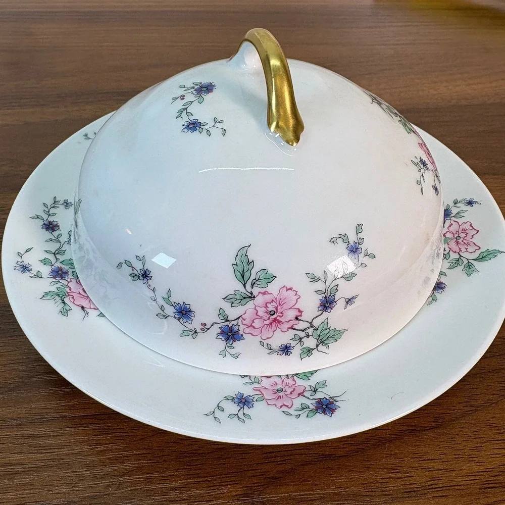 Antique THEODORE HAVILAND LIMOGES HAND‎ PAINTED Porcelain Covered Butter Dish